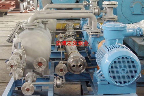 2BW真空泵闭路循环 山东淄博博山生产厂家 欧洲品质